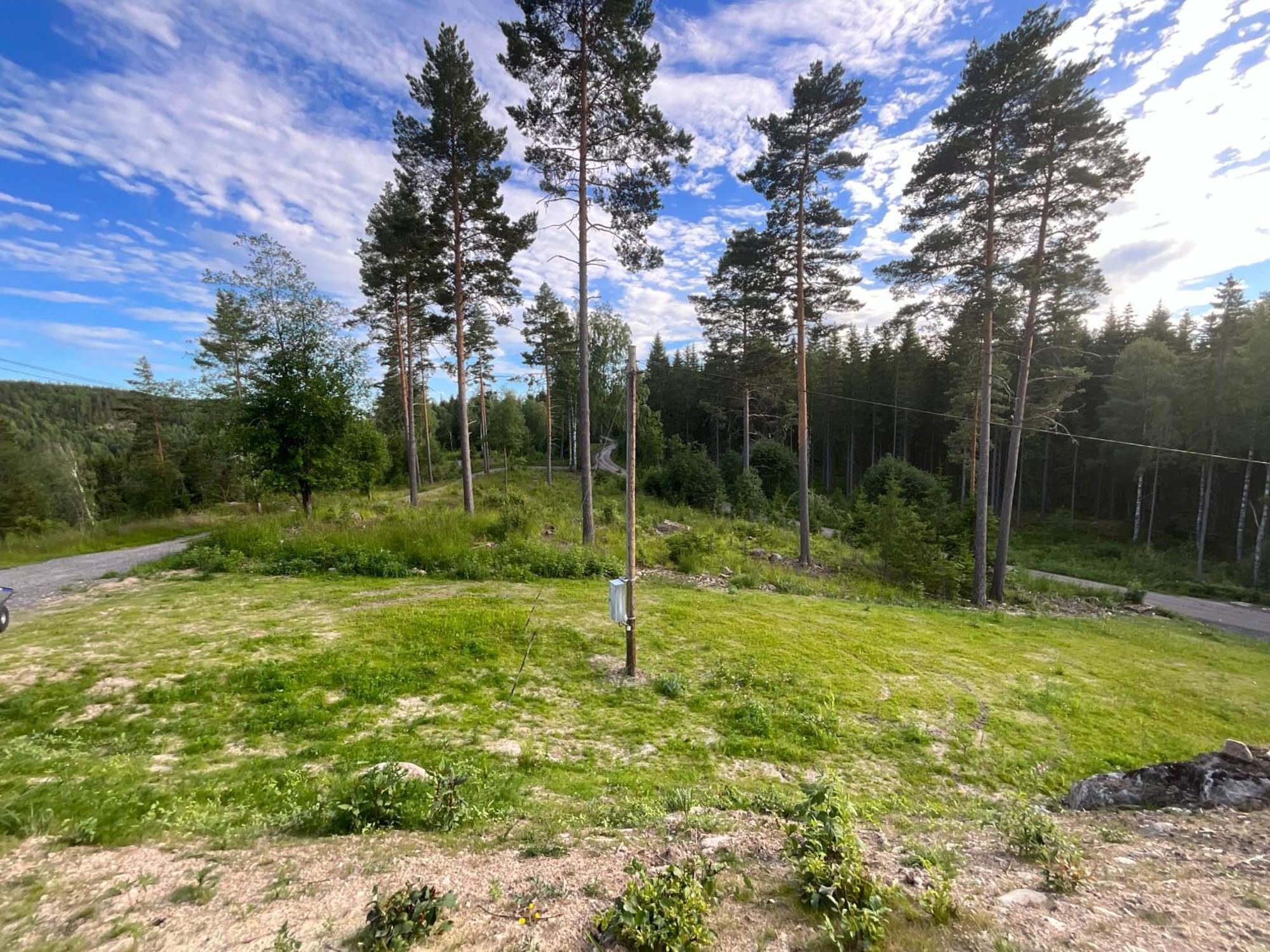 Koselig Hytte I Skogen Villa Skillingsfors Exteriör bild