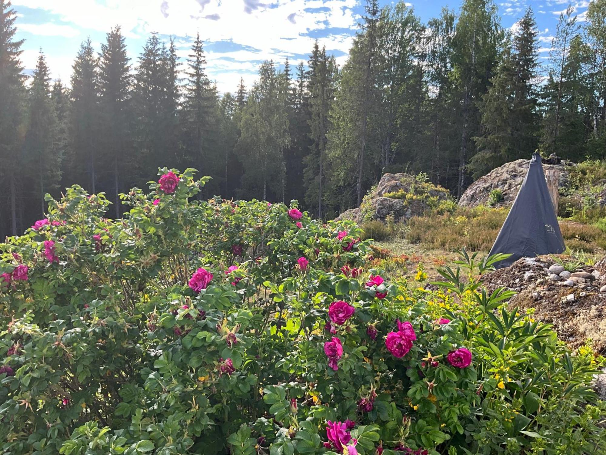 Koselig Hytte I Skogen Villa Skillingsfors Exteriör bild