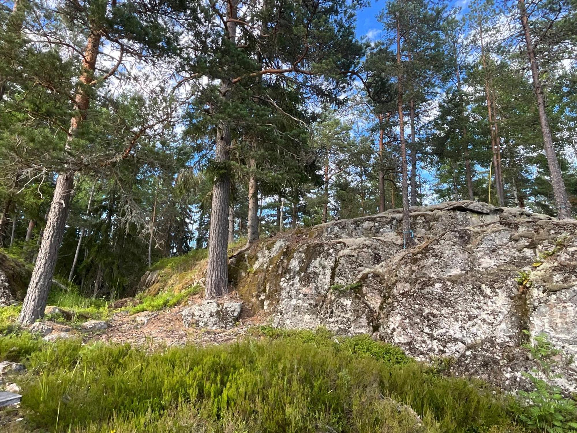 Koselig Hytte I Skogen Villa Skillingsfors Exteriör bild